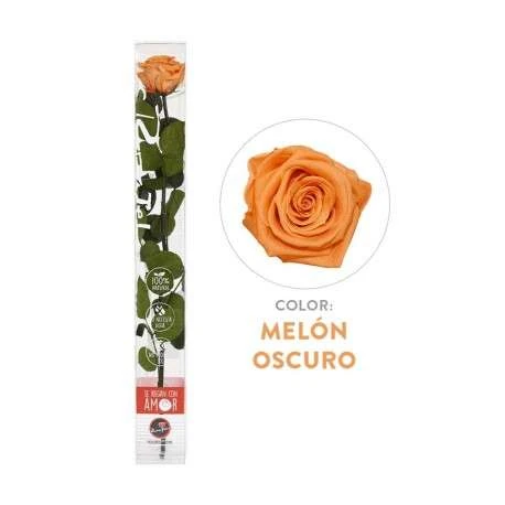 significado de las rosas naranjas 