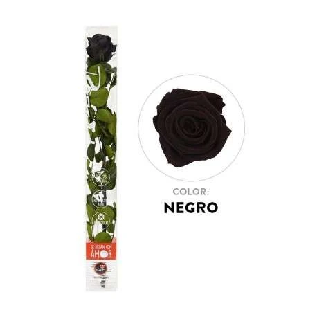 Comprar rosas de halfeti 