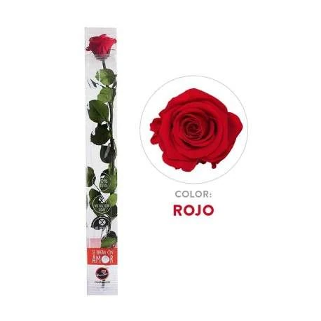 cuanto vale una rosa eterna 