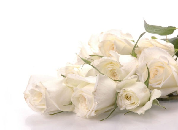 cuál es el significado de las rosas blancas