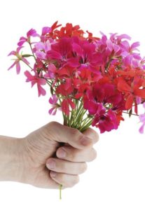 peores regalos para San Valentín