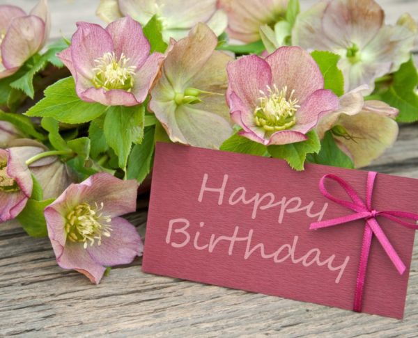 Enviar flores para un cumpleaños: ¿Cuáles son las mejores? – Vanityflor