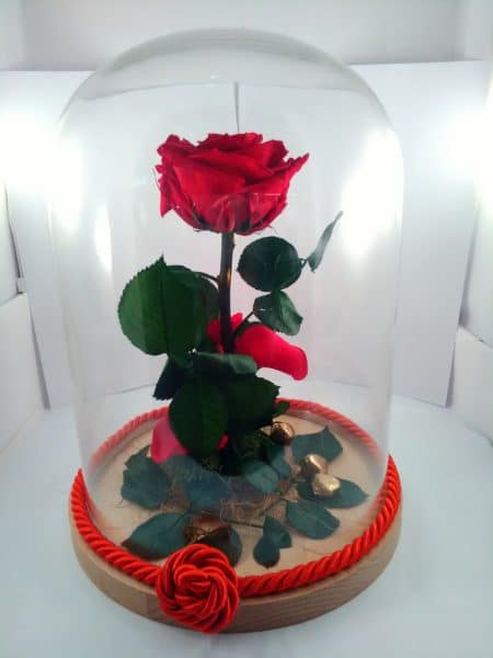 rosas preservadas – Vanityflor
