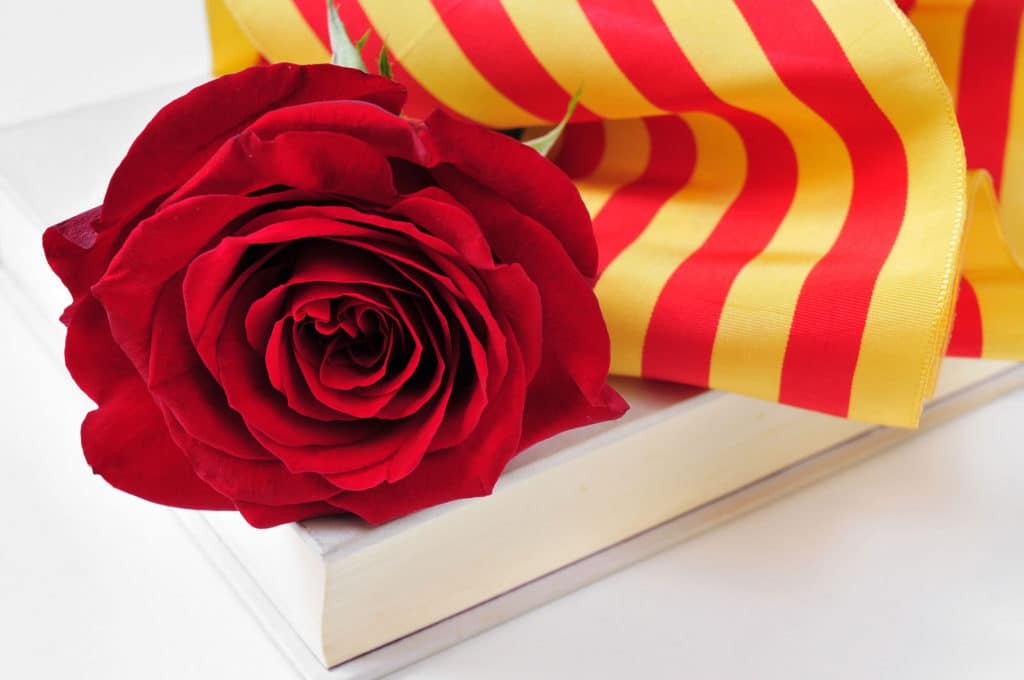 Regala rosas eternas para Sant Jordi! – Vanityflor