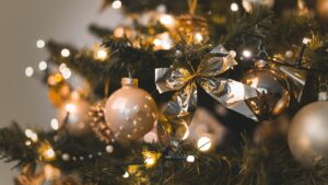 plantas de navidad