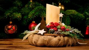 plantas de Navidad