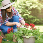 regalos para amantes de las plantas