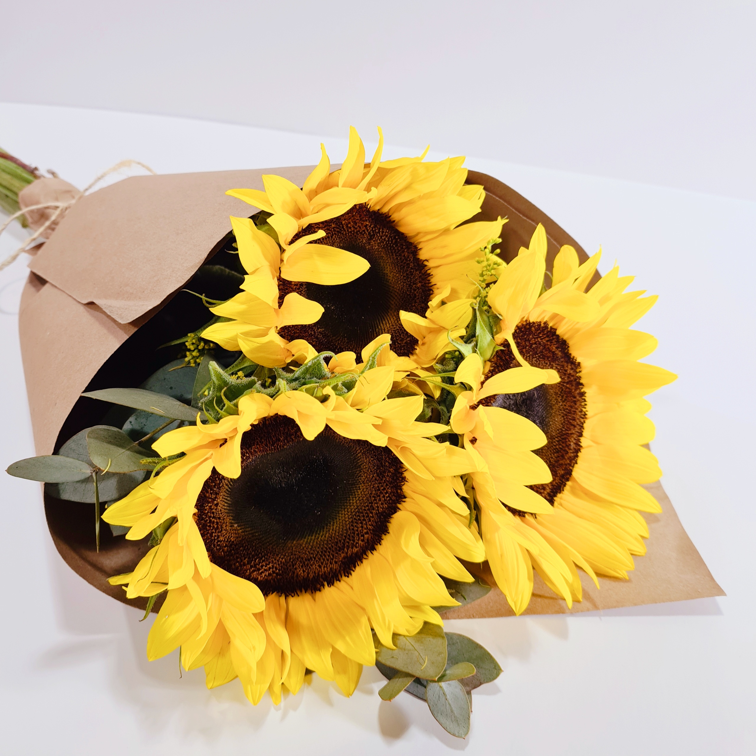 Las mejores flores para regalar en el Día del Padre – Vanityflor