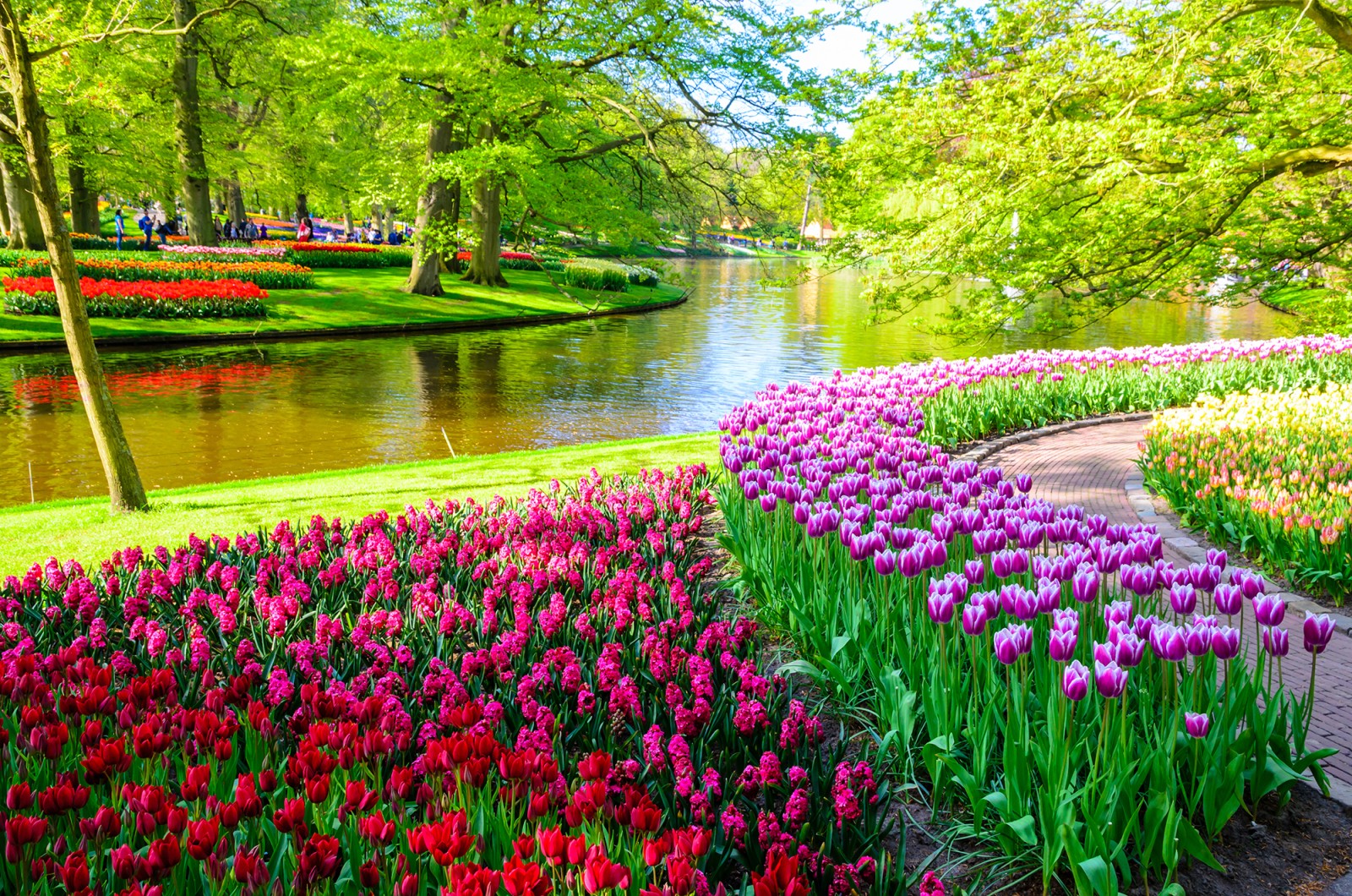 Park keukenhof 