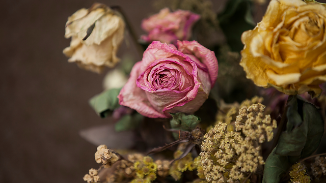 Como se secan las flores naturales 