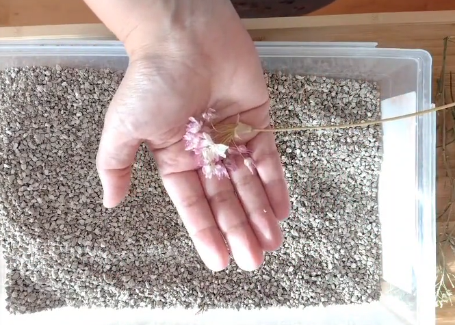 Secar flores con arena de gato