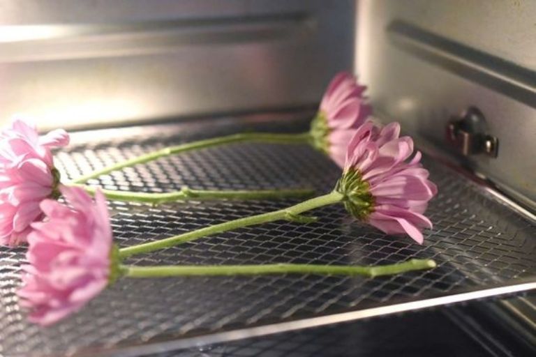 Como secar flores en el horno 