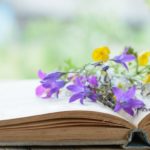 Como secar flores naturales