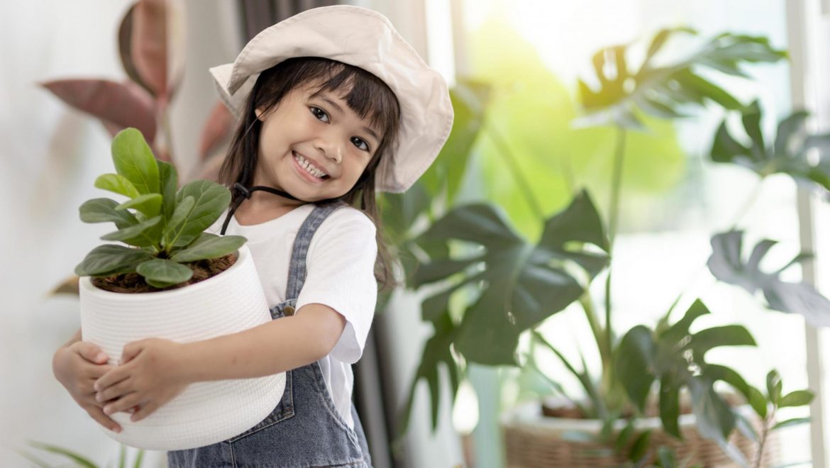 Apps gratis para identificar plantas 