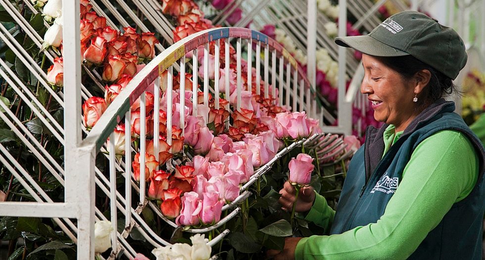 mercados de flores más importantes del mundo