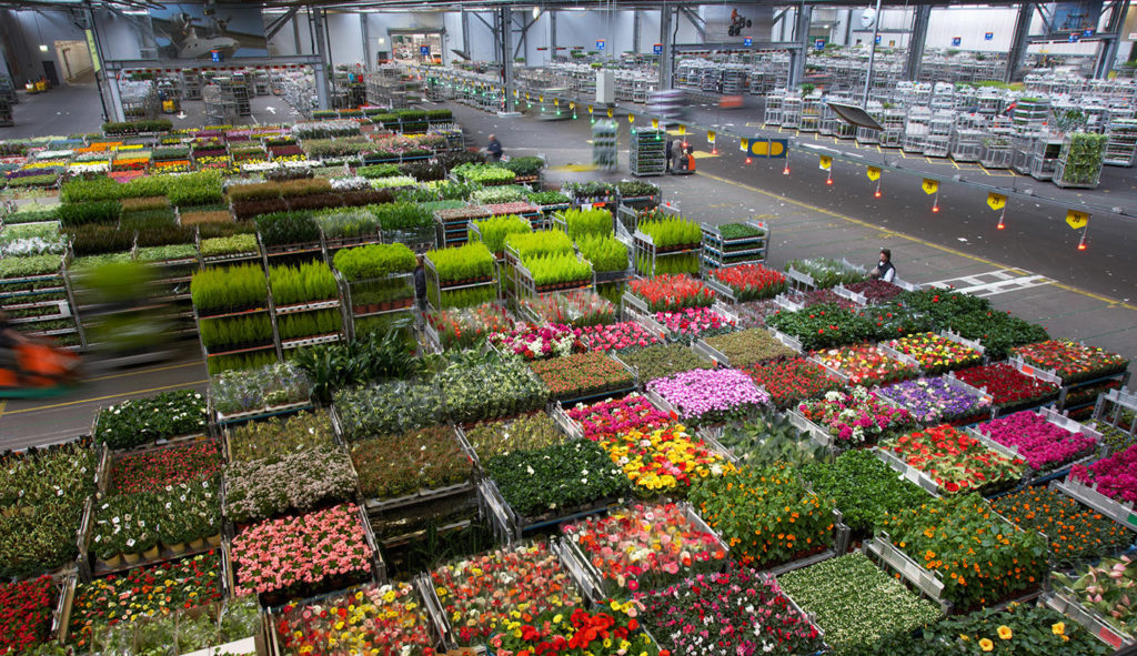 mercados de flores más importantes del mundo