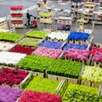 Países exportadores de flores en el mundo