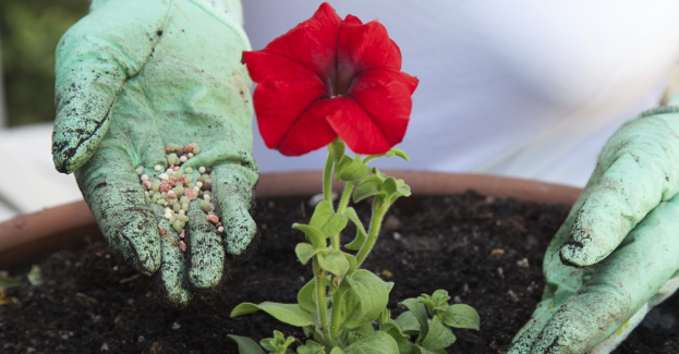 9 formas de reciclar flores secas