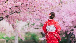 El Hanami: El arte de ver flores