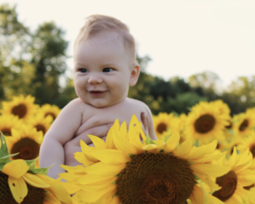 8 ideas de flores para nacimientos