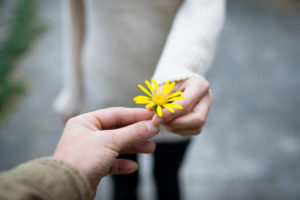 7 consejos para pedir perdón con flores