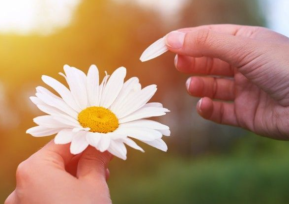 7 consejos para pedir perdón con flores