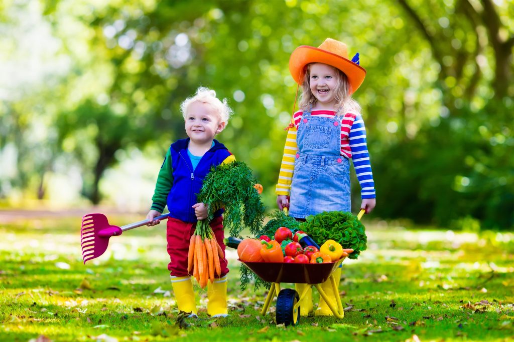 10 actividades con niños y plantas
