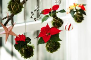 decoración con flor de pascua