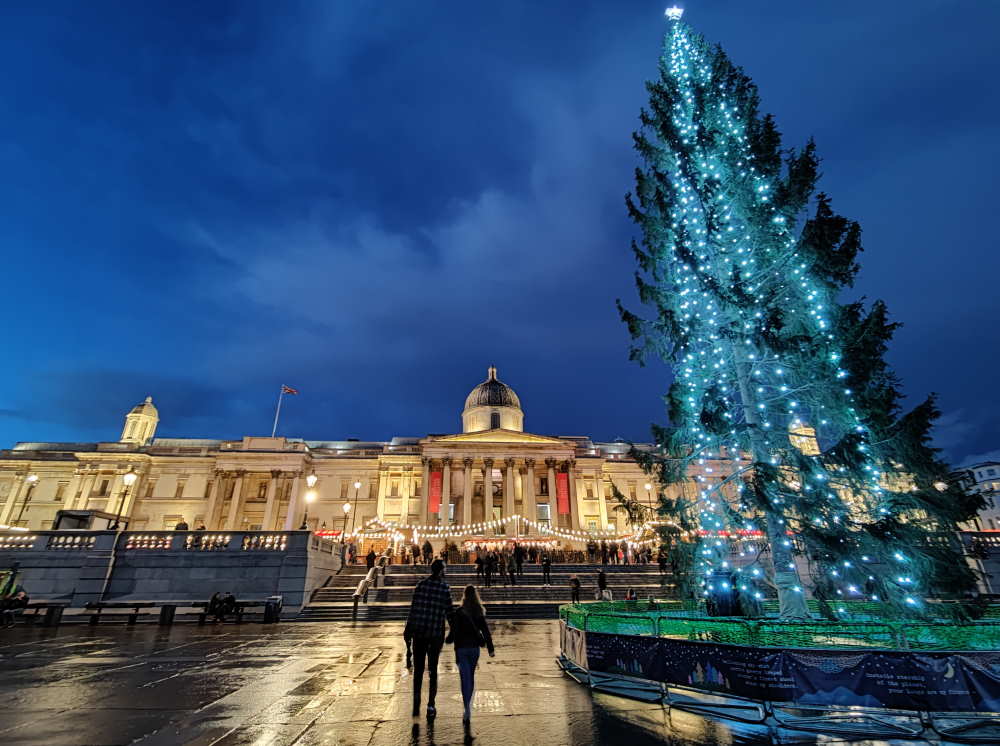 árbol de Navidad más lindo del mundo