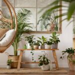 Plantas que no necesitan mucha luz solar