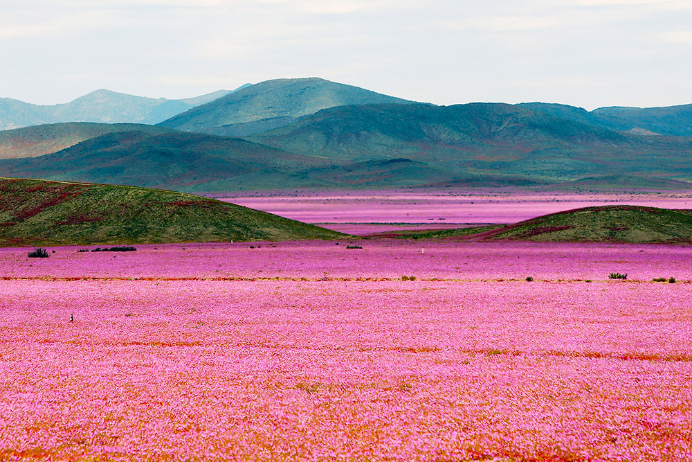 Mejores paisajes del mundo para visitar 