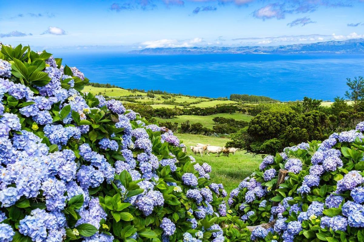 10 paisajes más bonitos del mundo 