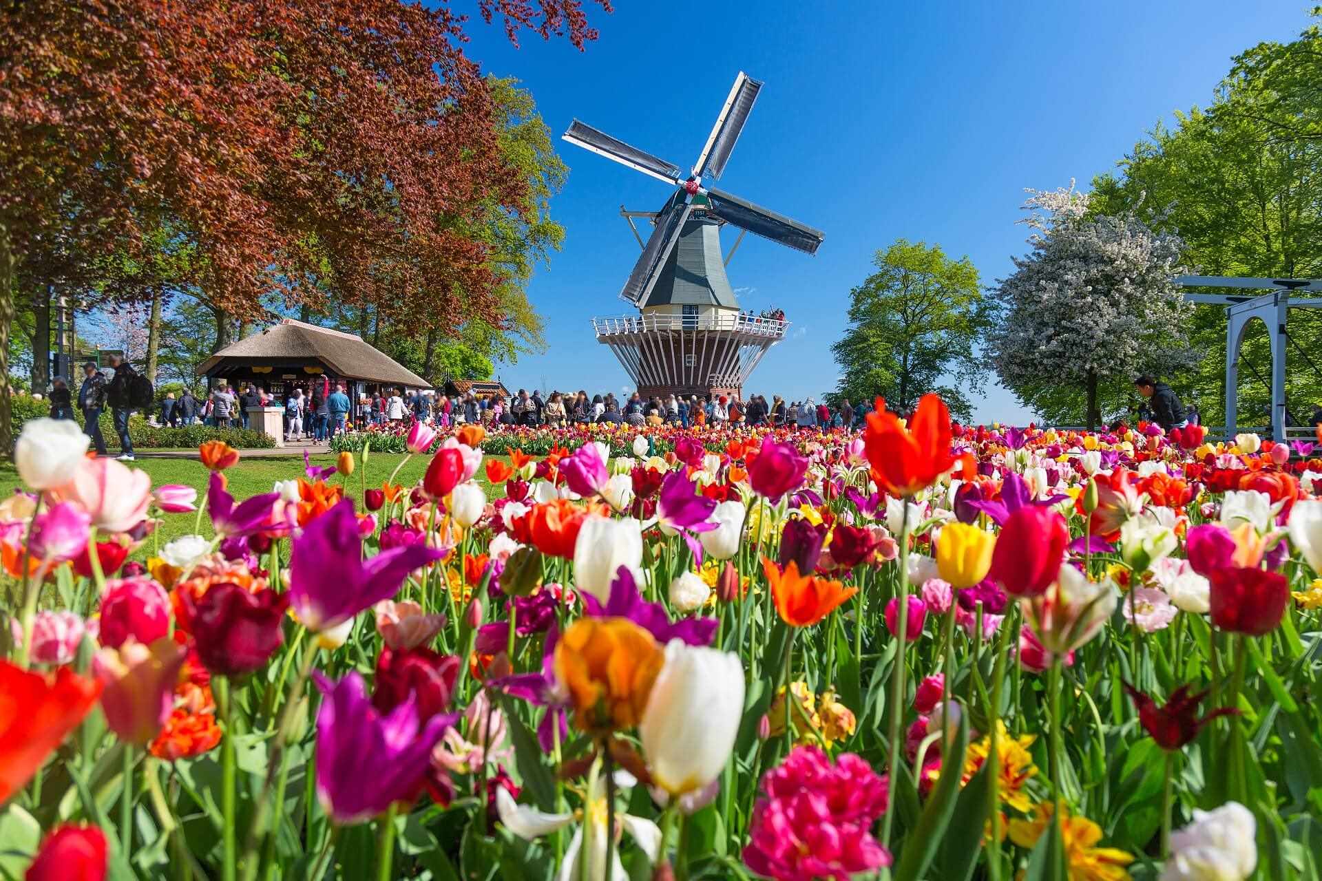 Paisajes de ensueño del mundo 