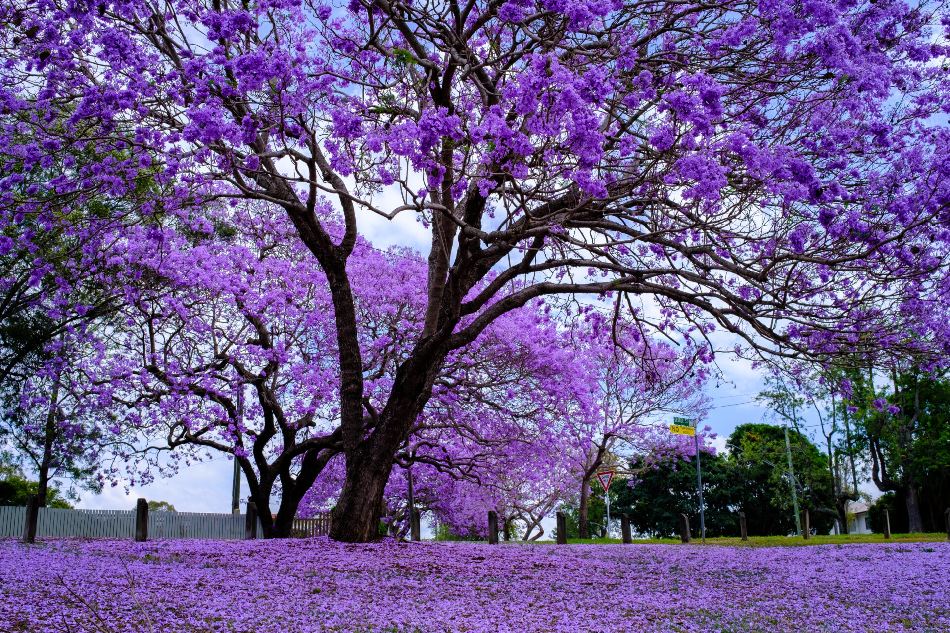paisajes naturales más hermosos del mundo