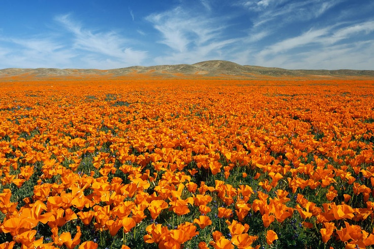 cual es el paisaje mas hermoso del mundo 