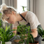 mitos sobre las plantas