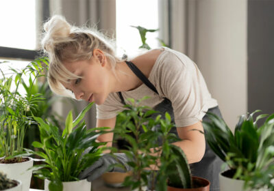 mitos sobre las plantas