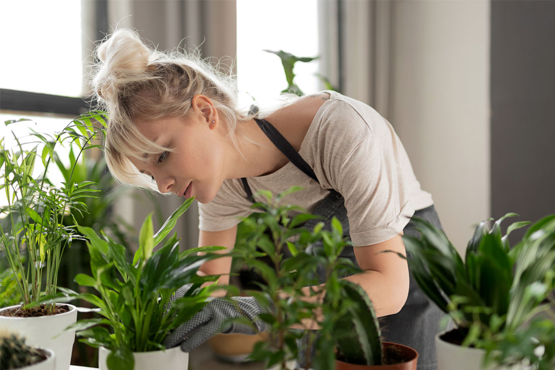mitos sobre las plantas