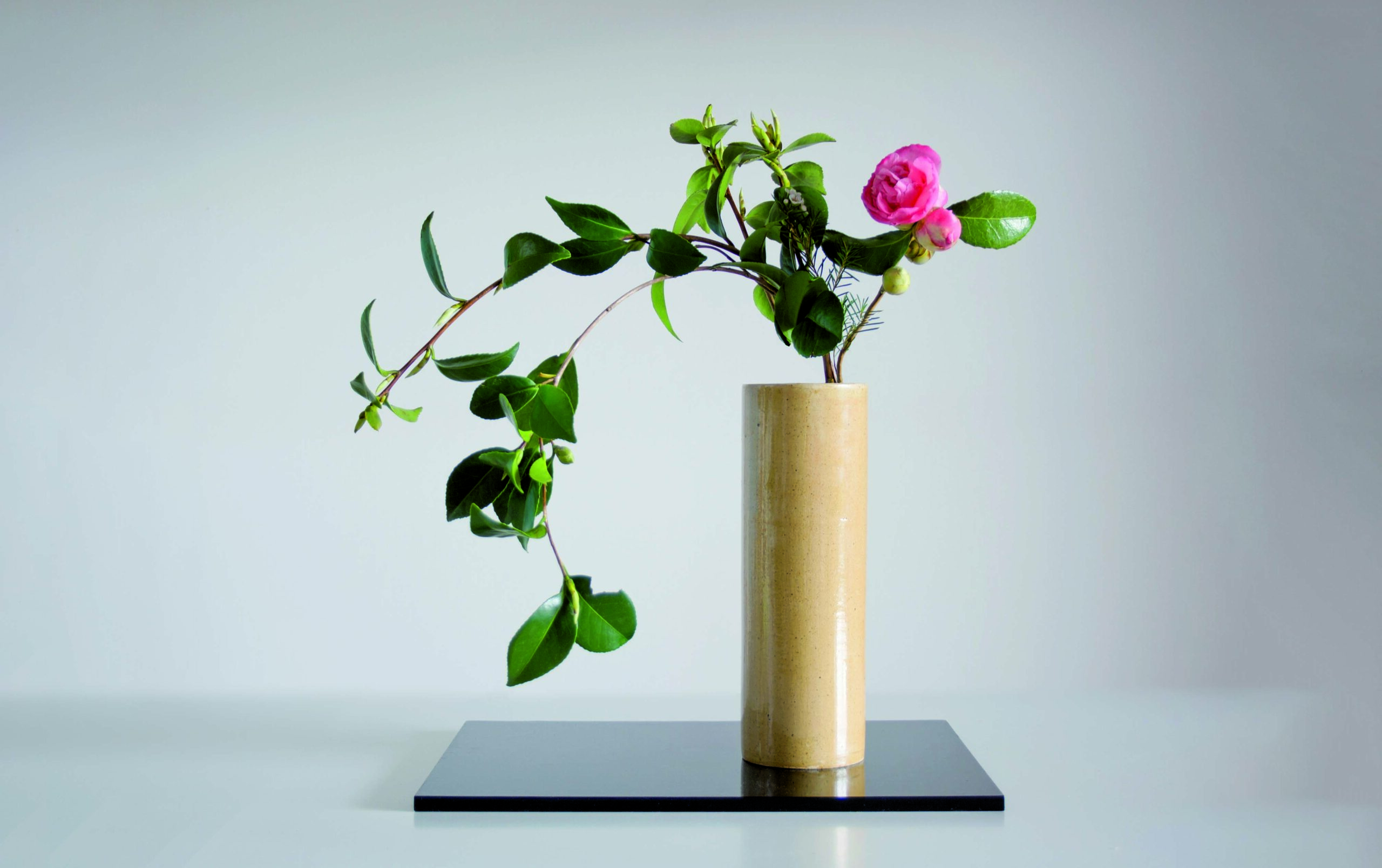ikebana arte japonés del arreglo floral 