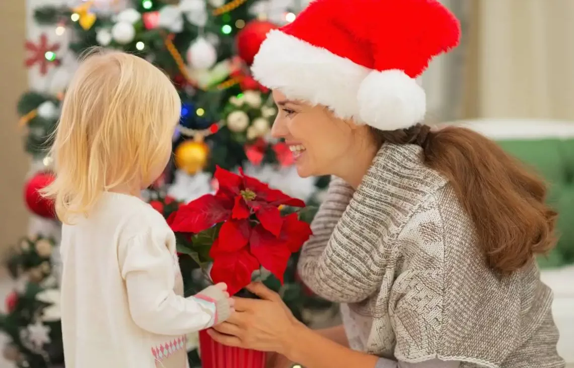 flores para regalar en navidad